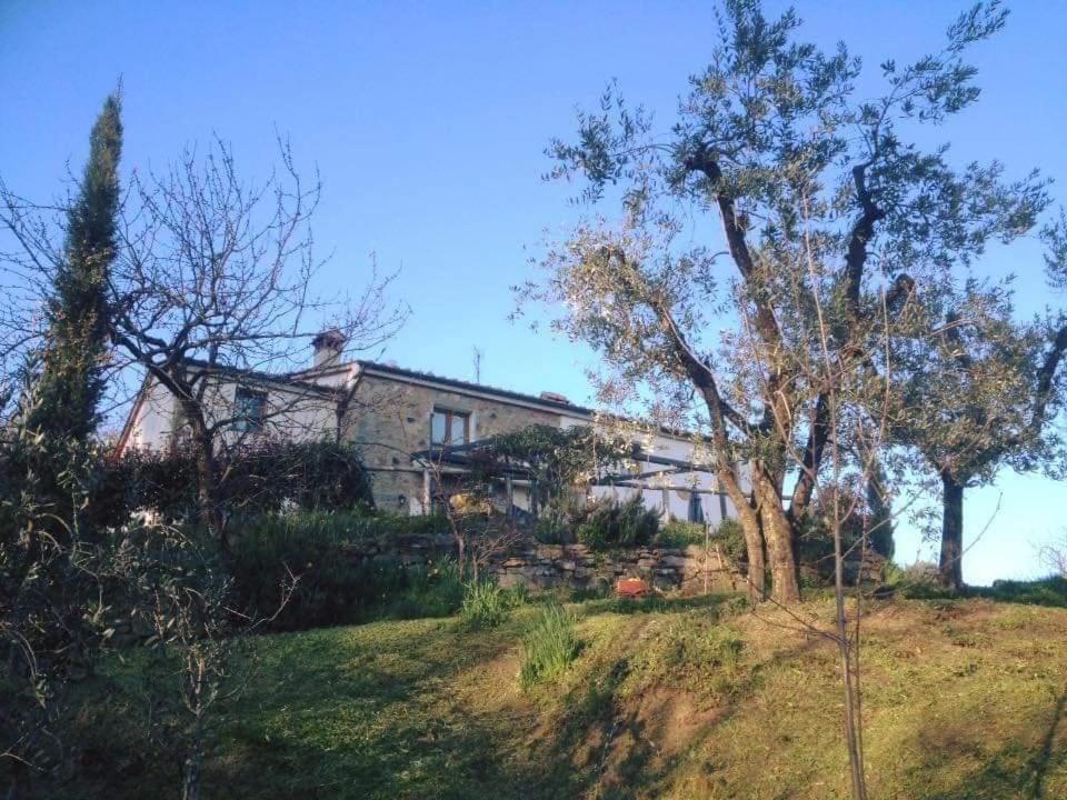 Agriturismo Menghino Nievole Eksteriør bilde